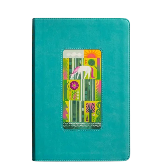 The Biggest Story Bible