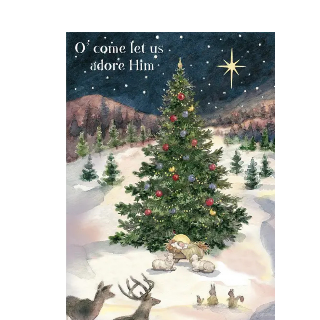 Boxed Christmas Cards - Let Us Adore Him - Lang