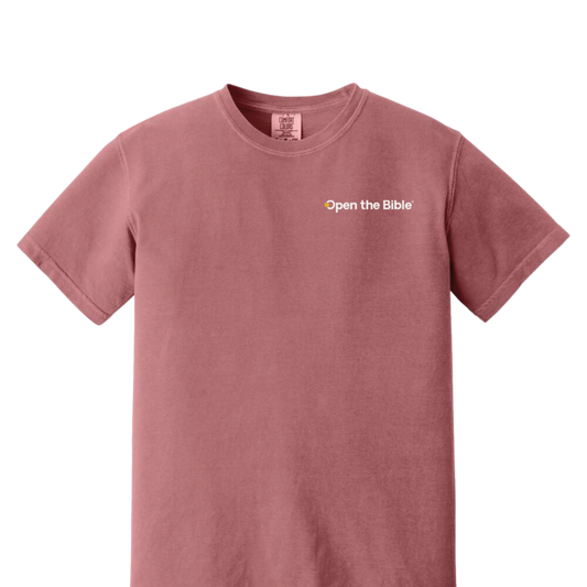 1-Open the Bible T-Shirt (Brick with Front & Back Design)