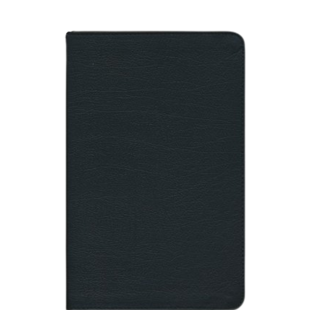 ESV Large Print Thin Line Bible Black