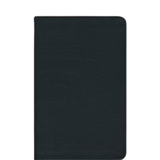 ESV Large Print Thin Line Bible Black