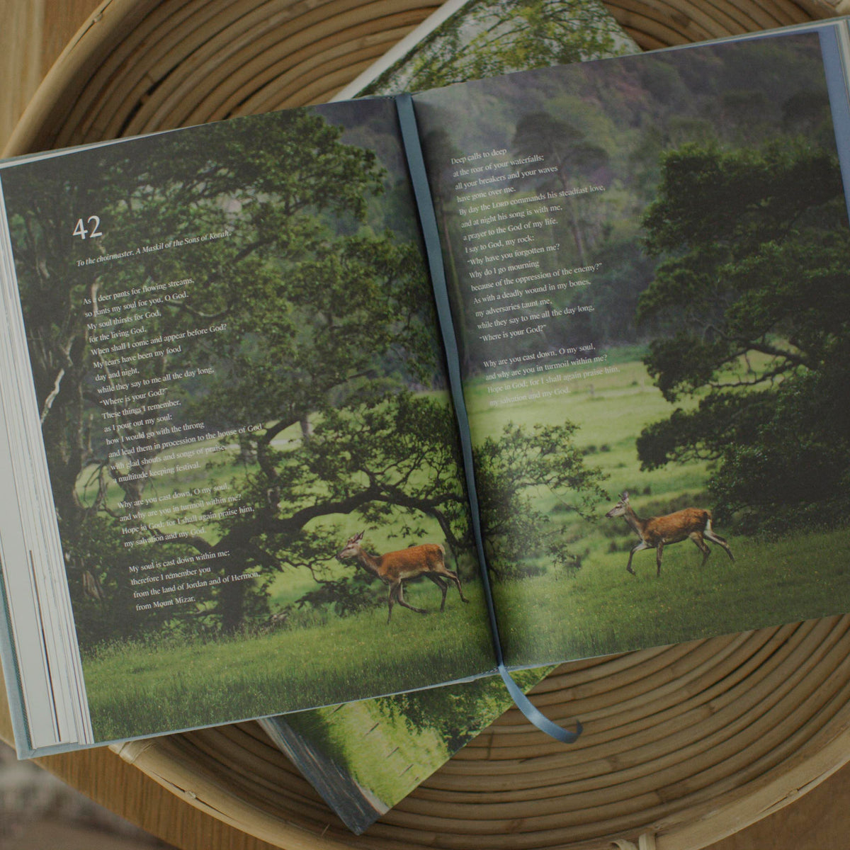 ESV Psalms Photography Edition - Book