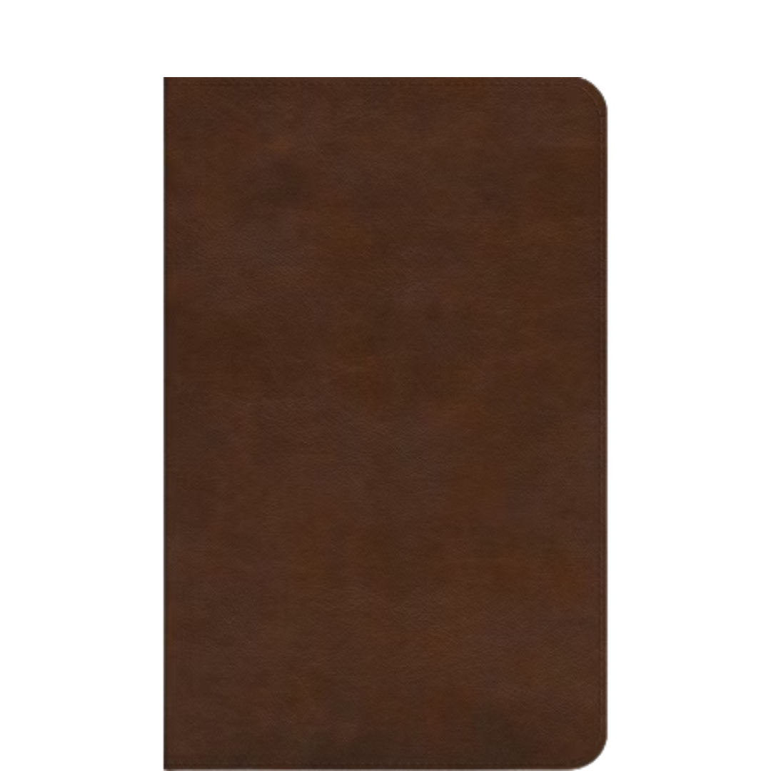 ESV Student Study Bible--TruTone Chestnut