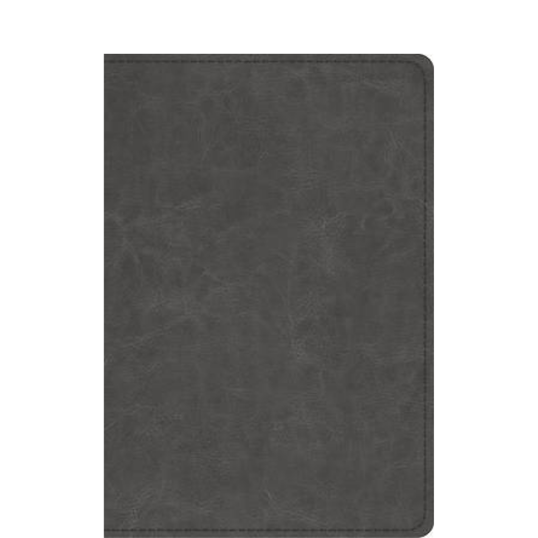 ESV Student Study Bible - Trutone Gray