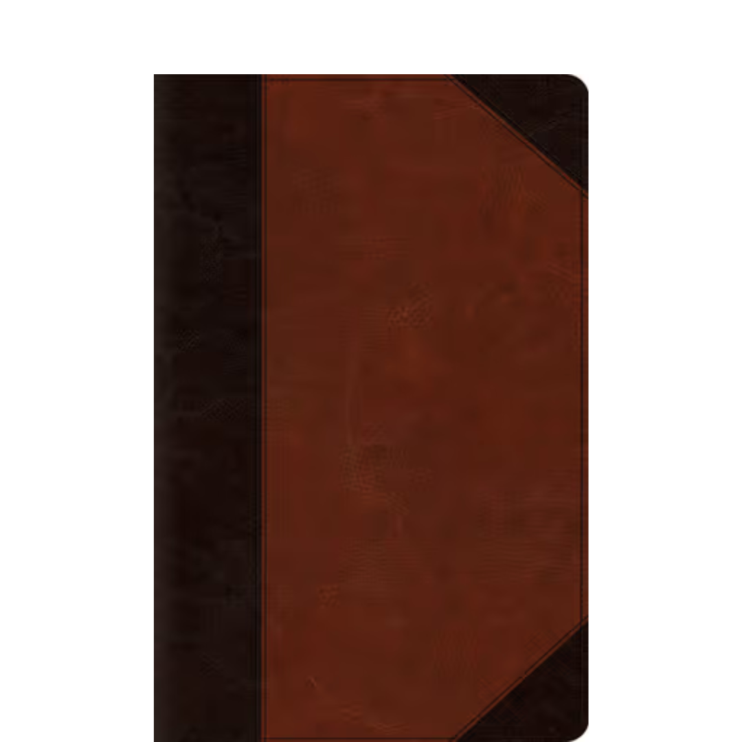 Big Print Bible Online Big Print Bible Online