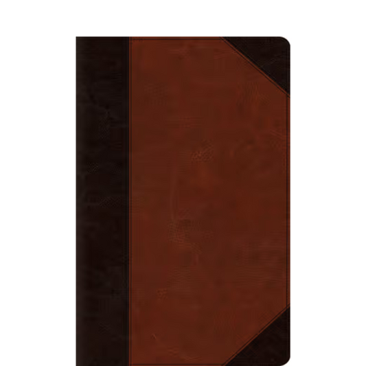 Esv Super Giant Print Bible Amazon Esv Super Giant Print Bible Amazon