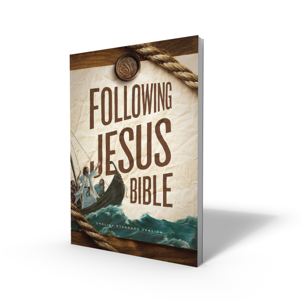Bibles Open The Bible Bibles open the bible