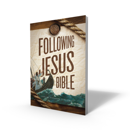 Bibles Open The Bible Bibles open the bible