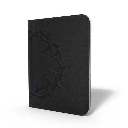 Bibles open the bible